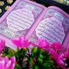 mohammedbelkhadi9