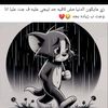 user62559276137791