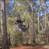 lawson_shred3