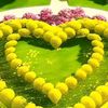 faisal.mehmood324