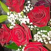 micky088014