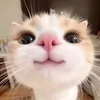 minhuong._910