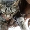 tiwiiiiiiiii_0