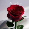 user5958359430778d