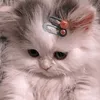 changgxinhhxiu
