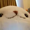 aniki_1018
