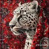 pareqstore4