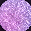 i_s52260nicsfz_