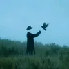 sr_ha_n1