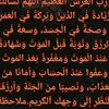 user8633462551186