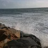 dodo_4190
