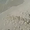 sam007338