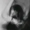 sha_4rena