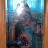 mrrnpzn