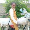 user4766874012413