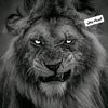 user1225138178118