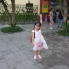 vhldllxg1