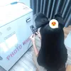 hanxinhgaivocung2