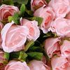 salim126754311456