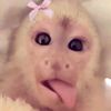 luvrisnn