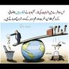 umerfarooq8244