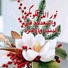 user4363381843859