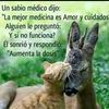 allison.gonzales.piscis