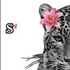 sayido24
