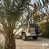 mohammad.alsaleh28