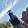 ra2.14