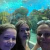 reeseredding7
