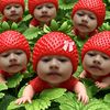 chompoo.chompunuc