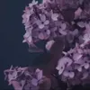 zehragez