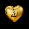 ahgfdv555
