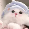 ngtruccute123
