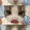 yncutii35_10