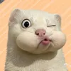 danhnhhunh