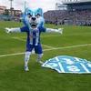 maycodeoliveira17