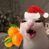 aibilke_2