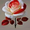 user5400904259997