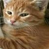 abcuteme