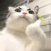 oizoioiii2