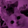 maryannmauro123