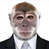 frizeee___74