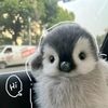 syelomitaaaa_3