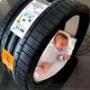 walid25227