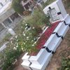 noor17407