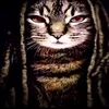 mr.catvon.6
