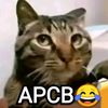 admin_meme_fresh