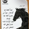 aminatazi81
